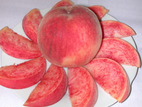 【数量限定、あかつき３ｋｇ】高原のあかつき桃は一味違う！ 硬くて大玉、食べ応え十分！