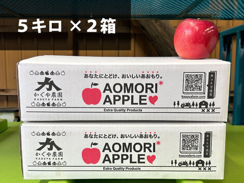 【毎年１万箱以上売れてます】約５キロ×２箱 青森県産りんご「樹上完熟葉とらずふじ」通常用厳選品