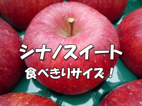 シャキッ！甘～い！小玉 食べきりサイズ！シナノスイート 信州りんご