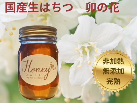 うさぎ　ニホンミツバチ　蜂蜜　信州産　無添加・非加熱　580g×3本 楽天市場】国産 はちみつ 蜂蜜 300g 希少 ハチミツ 送料無料 非