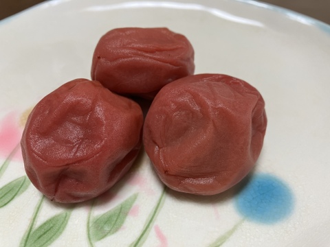 【農薬不使用・無添加】完熟南高梅干し800g