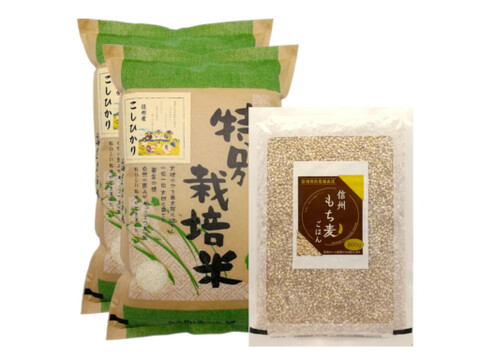 【セット商品】残留農薬ゼロ 信州産こしひかり白米10kg+もち麦800g