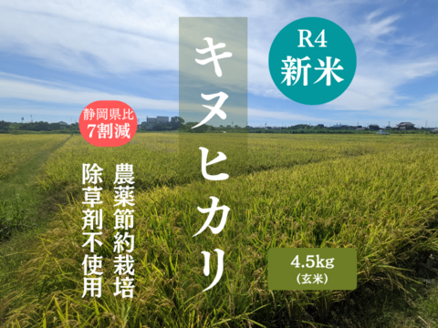 キヌヒカリ玄米4.5kg（農薬節約栽培のお米）