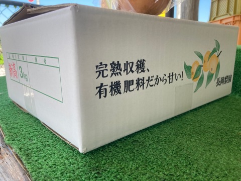 糖度13度以上！完熟の『豊水梨』約3kg（6-8個）