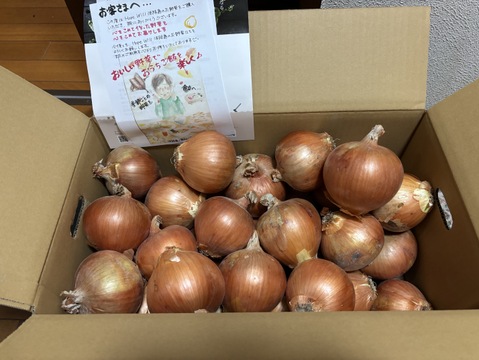 玉ねぎ9kg🅱️🧅淡路島極熟玉葱玉　シャーロットオニオン　玉ねぎ大国淡路島からのたまねぎ