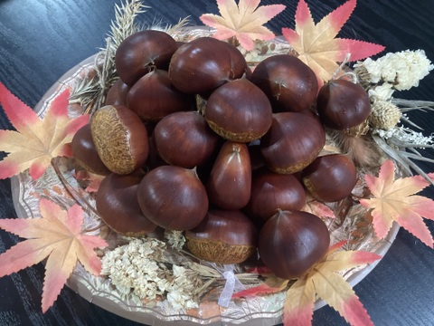 ☆丹波くり　晩生 「筑波」 希少４Lサイズ 約1kg（本州のみ）