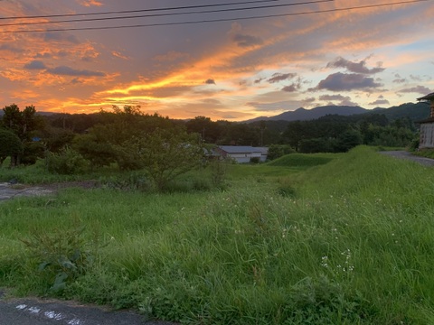 奥出雲産自然栽培地這いきゅうり(1kg)