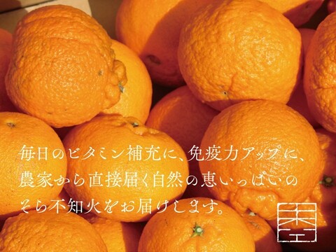 【訳あり】そらデコ 不知火 天空の果樹園 愛媛産デコ不知火 5kg