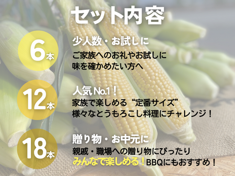 【朝採れ極甘スイートコーン】「恵味ゴールド」18本　//先行予約/2026年7月下旬より発送//