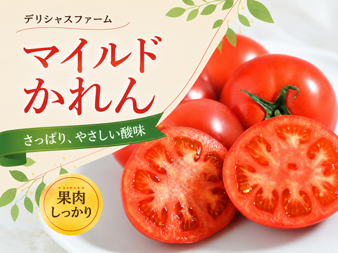 さわやかジューシー!「マイルドかれん」4kg箱詰め