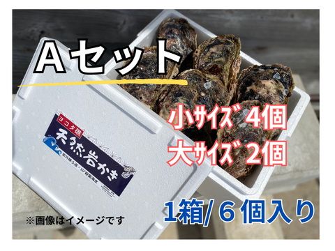 ヨコタ礁天然岩牡蠣　Ａセット（小4個、大2個）生食用