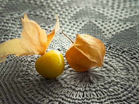 ゴールデンベリー 食用ほおずき 300g