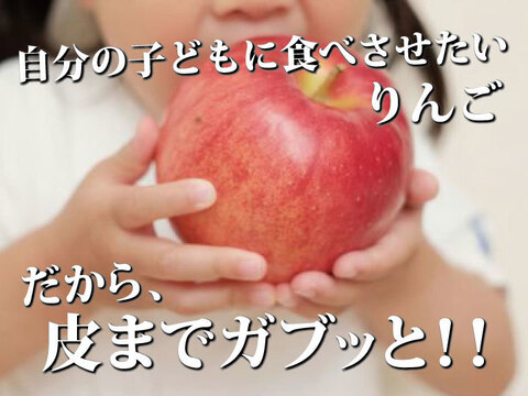 【毎年１万箱以上売れてます】約３キロ 青森県産りんご「樹上完熟葉とらずふじ」家庭用厳選品