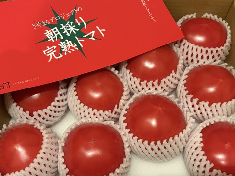 さやまるプロジェクトの朝採り完熟トマト（冬ギフト）