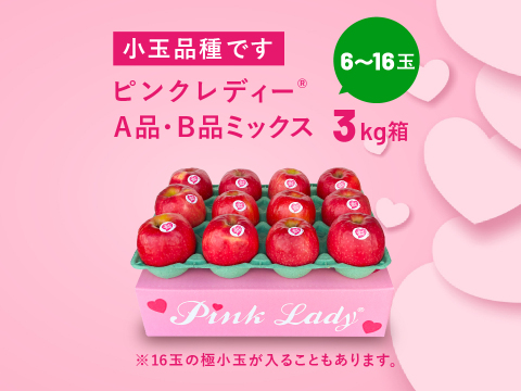 発送中🍎 ピンクレディー®︎3キロ箱  長野県 信州 安曇野 リンゴ 幻 幻のリンゴ 予約 希少 旬 6玉〜16玉サイズ 商品ID42100 ピンクレディー