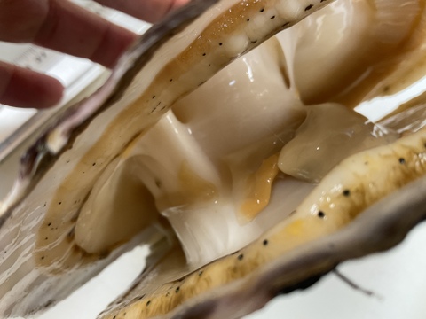 【特大のその上】活ホタテ/殻付き/1個400~500g前後/4枚セット【生】