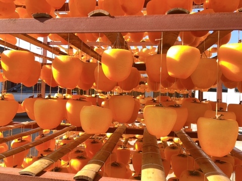 【夏ギフト】桃農家が作る自社農園の果物のみを使って作ったジェラート　６個入