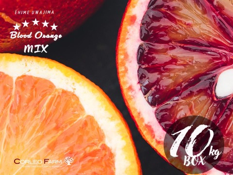 【EHIME UWAJIMA】ブラッドオレンジ食べ比べ<モロ＆タロッコ>10kgBOX(9kg)