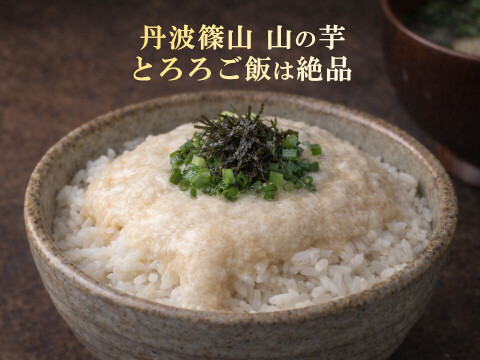 【R8年産 先行予約開始】丹波篠山産 山の芋 3kg 粘りが違う本場の味 とろろ最高級 山芋 家庭用 サイズお任せ 農家直送 家庭用 きりいも  大和芋 つくね芋 山芋 栄養満点 とろろ芋