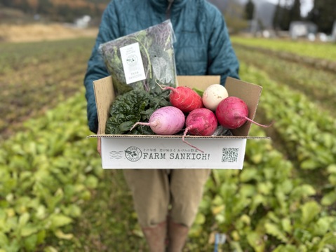 信州をお試し【旬彩野菜】BOX２～3人前　クリスマスパーティーにも！サラダリーフミックス140g1パック＋季節野菜1～2品。無施肥栽培・長野県安曇野産・冬ギフト