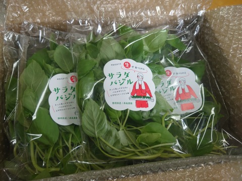 【★生で食べるサラダバジル！！★】サラダバジル（40ｇ×10袋）バジルの香りがやみつきに！