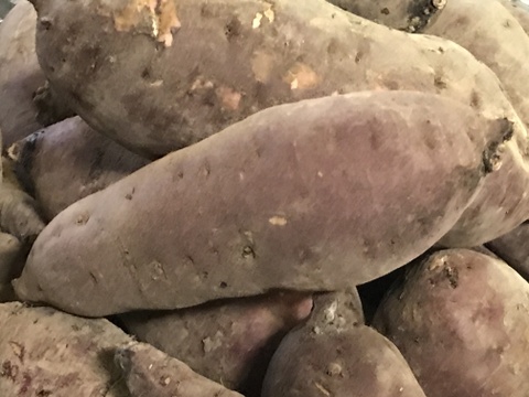 2024年【べにはるか】北海道産さつまいも　4.5kg