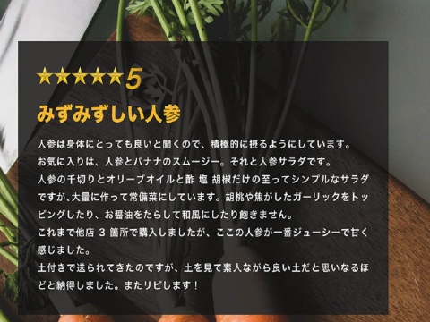 【予約】潮風をあびたミネラル豊富な土で育ちました!有機肥料を使った栽培期間中農薬不使用にんじん 5kg