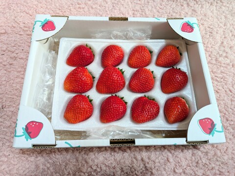 (1P)約460g★特価300円値引【いちご・とちあいか】★甘さ増量●お手頃価格●栃木県産いちご●お届け日指定可