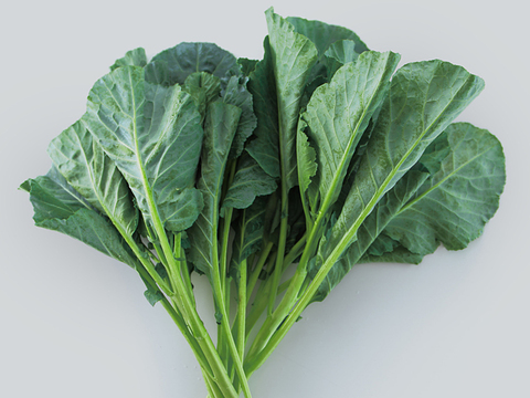 【有機栽培 JAS認証】プチヴェール菜の花 600g＋【機能性表示食品】ソフトケールGABA（500g）（静岡県磐田市産）