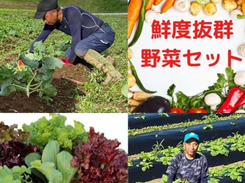 自家農園産野菜セット 【 6～8品】