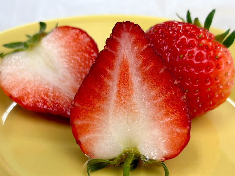 【四つ星級の甘さ】福岡県産よつぼし500g｜福岡県エコ農産物認証！