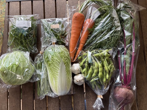ギフトにも！【今が旬！10種類の夏野菜セット】/農薬・化学肥料不使用（簡単な調理例記載あり！）