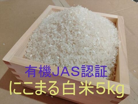 有機JAS認証【農薬不使用「にこまる」白米5kg】コシヒカリを超えた美味しさ 2025年兵庫県産「タガメの里・自然米」