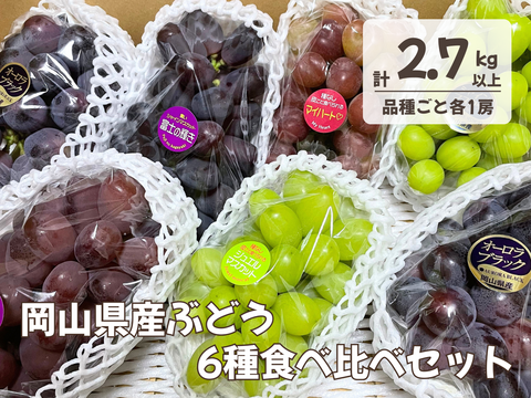 ☆ぶどう好きにオススメ☆ たっぷり6品種をお届け 岡山県産ぶどうおまかせ6種食べ比べ