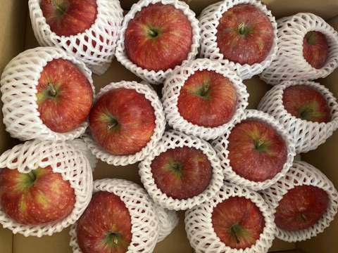 夏りんご美味しさNo. 1　シナノリップ