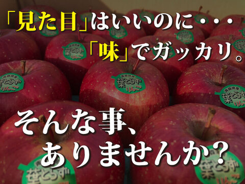 【☆特に甘～いりんご☆】約３キロ 青森県産りんご「樹上完熟葉とらずつがる」贈答用厳選品