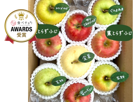 🍎 【アワード受賞福袋】 【食べ比べ】(家庭用)5品種詰め合わせ🍎3キロ   おまかせ 商品ID171041 【冬ギフト】