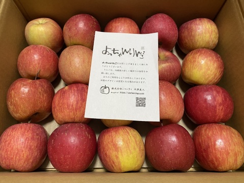 【極小玉・バラ詰め】🍎毎日りんご!! サンふじ🍎家庭用 約3Kg🍎コスパ抜群　青森県産　数量限定　ポケットりんご