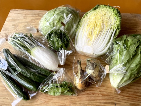 山のミネラルたっぷり！ソノちゃんのこだわり野菜セット7〜9種