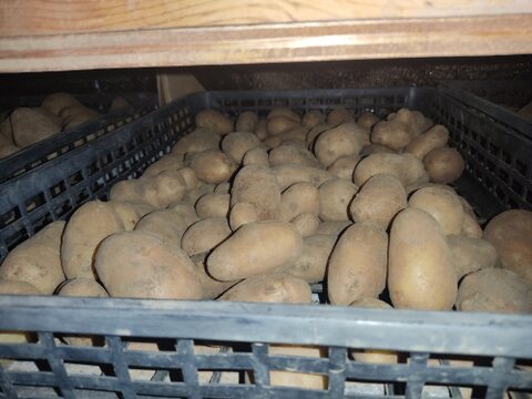 🥔農薬・化学肥料不使用「メイクイーン」3kg　Sサイズ🥔