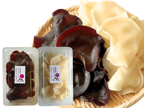 高知県仁淀川町産『生きくらげ』食べ比べセット｜奇跡の水で育てた”純白の贅沢”「白あらげきくらげ400g」｜「黒あらげきくらげ500g」季節限定｜数量限定でお届け｜
