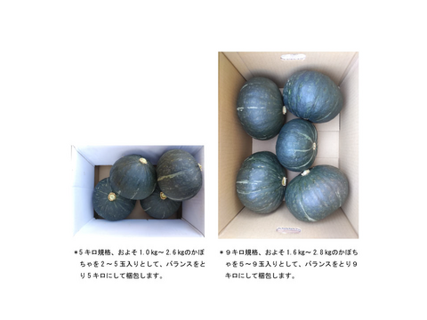 熊本県あしきた産　完熟ホクホク桃源郷カボチャ【5キロ　３～5玉入り】