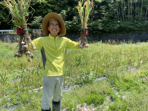 【期間限定】幻の生にんにく　讃岐平戸　1kg