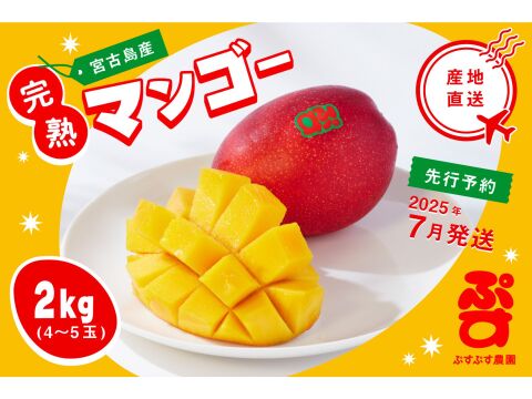 【夏ギフト】ぷすぷすマンゴー2キロ（4～5玉）
