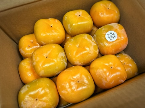 たっぷり召し上がれ！とろける甘さの「たねなし柿（和歌山県産）」20～22玉（5.5Kg）