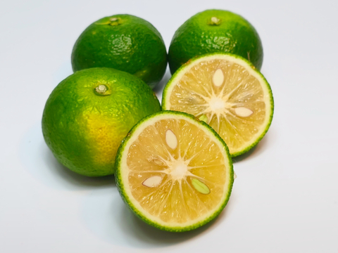 箱込約1㌔　激レア果実を出品　直七　幻の柑橘