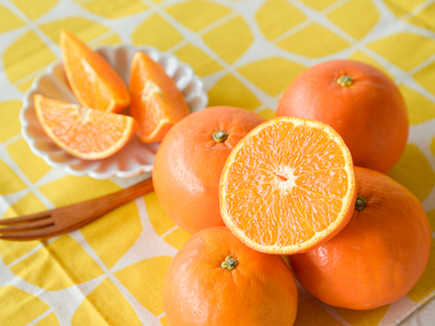 濃厚果汁がたっぷり！　セミノール【家庭用(訳あり)】[5kg]　319-3