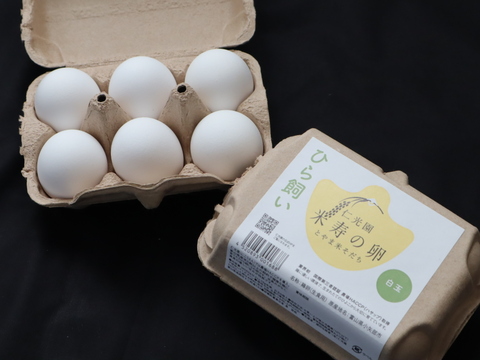 富山県のお米&酒粕で育った鶏が自慢です！】「ちどりたまご