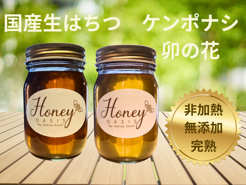 【ケンポナシ･卯の花】500g×2本セット　国産はちみつ　【非加熱･無添加】