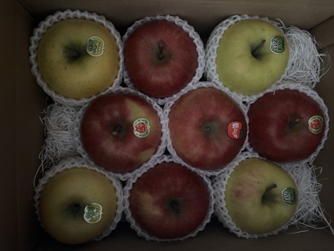 葉とらずサンふじ×黄色いりんごセット